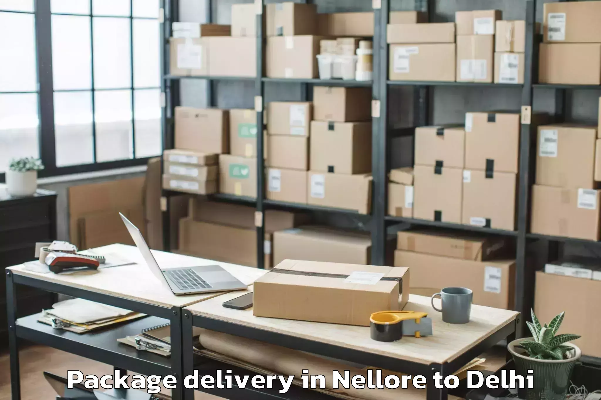 Professional Nellore to Naraina Industrial Estate Package Delivery